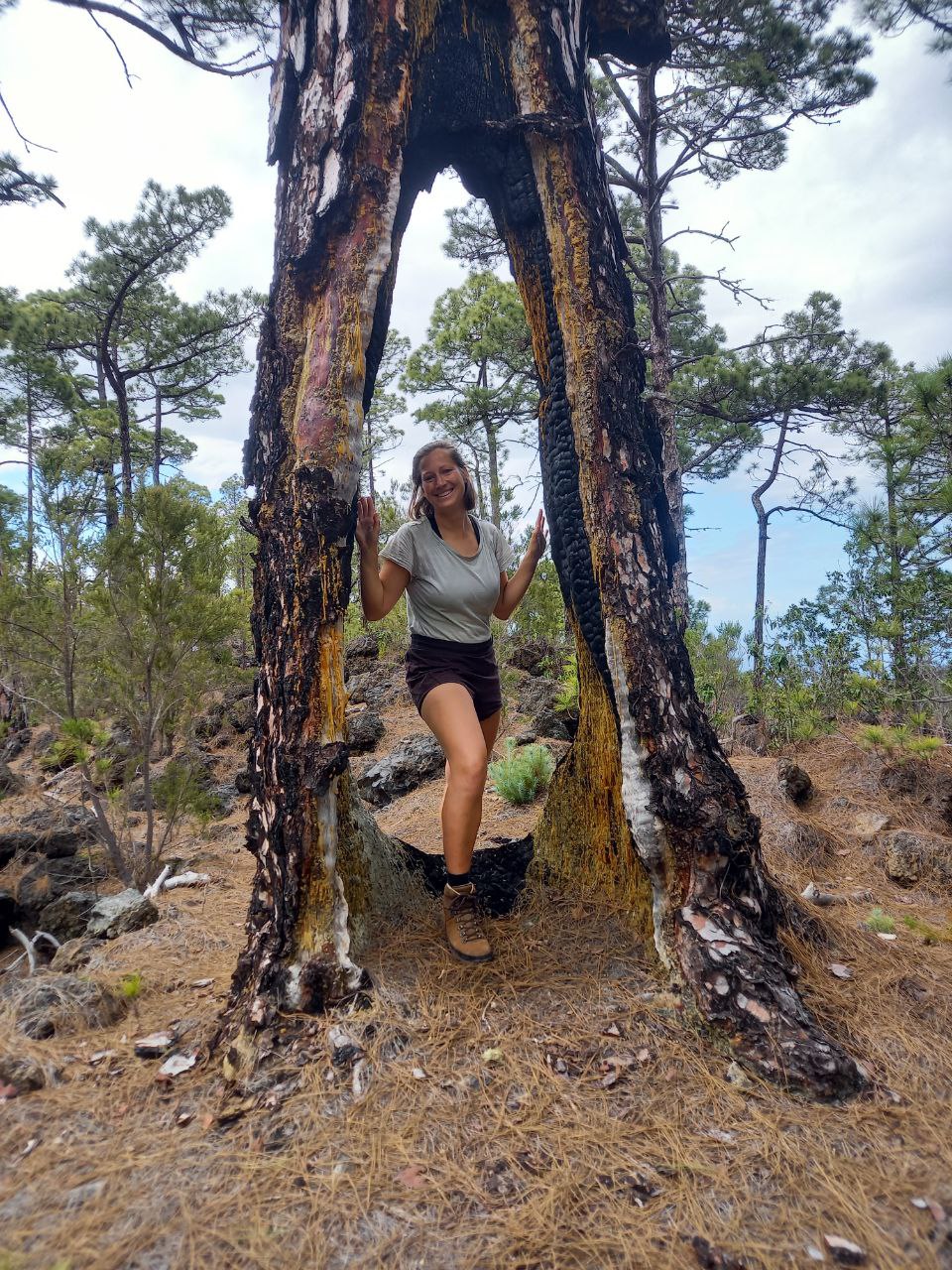 BASA-Studentin Helene Holz erkundete u. a. den Teide-Nationalpark auf Teneriffa Person im wald