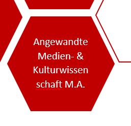 Onlineberatung Angewandte Medien- und Kulturwissenschaft (06/2025)