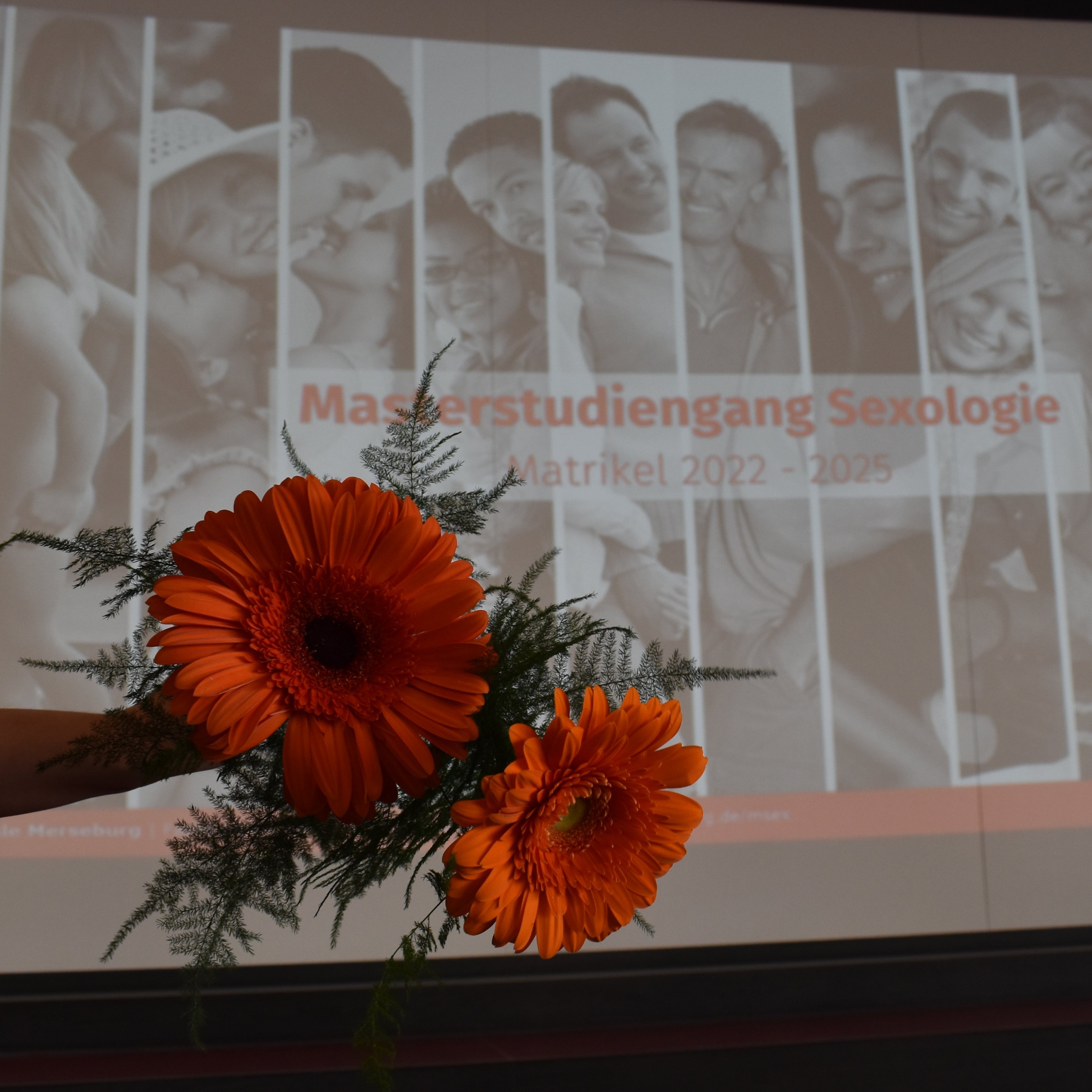 Blumen vor  einem weiß-roten Flyer