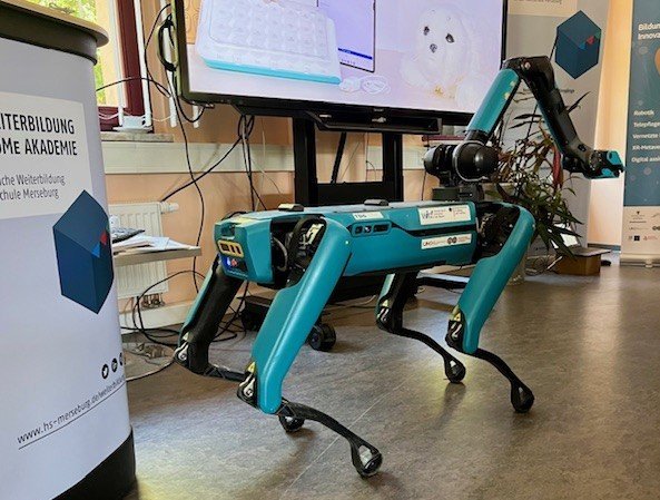 Roboterhund Spot im Gartenhaus agile mobile Roboterhund Spot läuft durch das Foyer im Gartenhaus