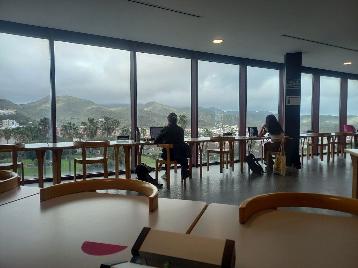 Universitätsbibliothek der ULL Tische und Stühle vor Fensterfront