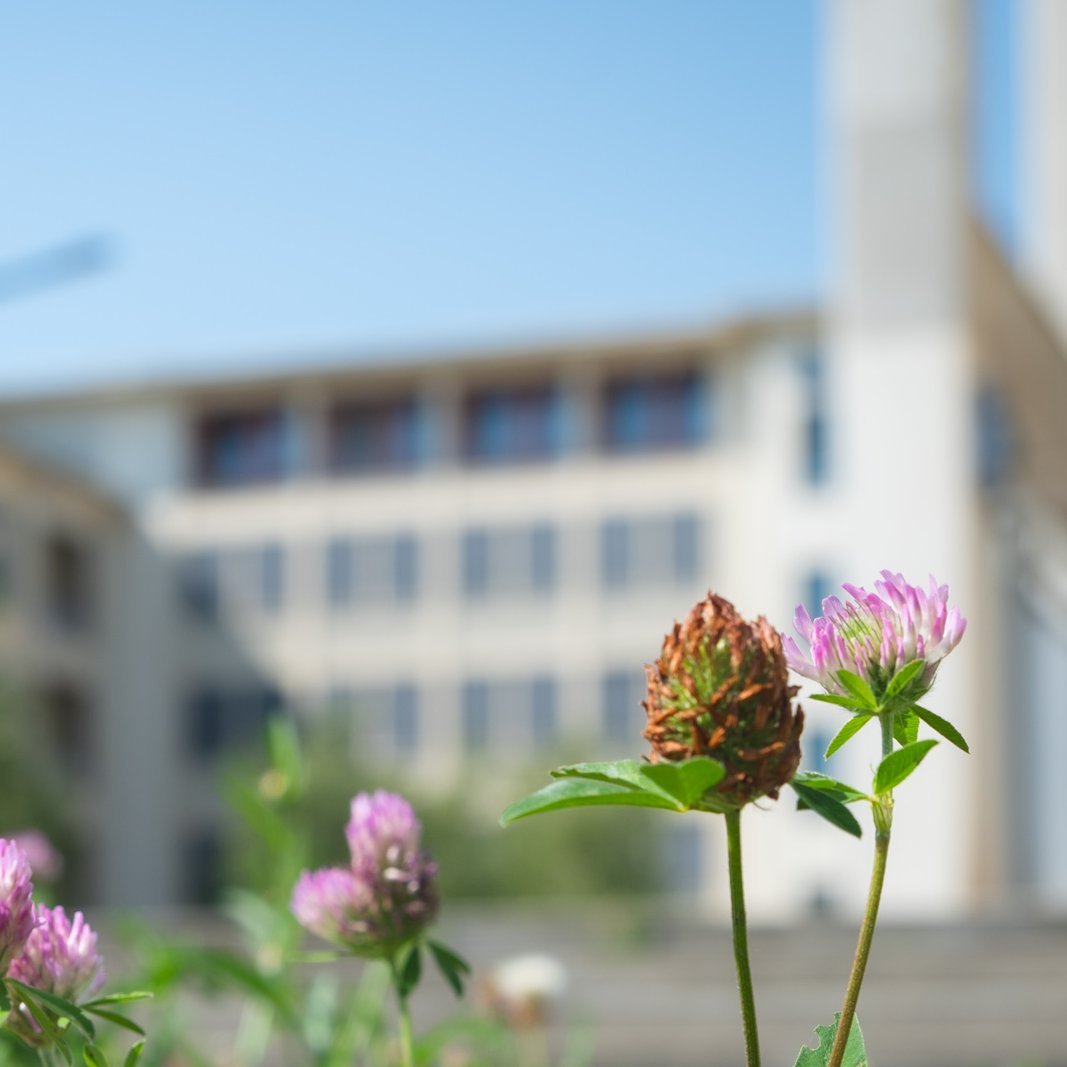 Hochschuldidaktische Wochen an der Hochschule Magdeburg-Stendal