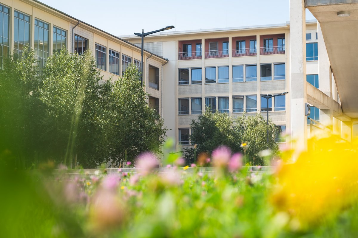 Blick in den Innenhof der Hauptgebäude der Hochschule mit sommerlichen Blumen im Vordergrund