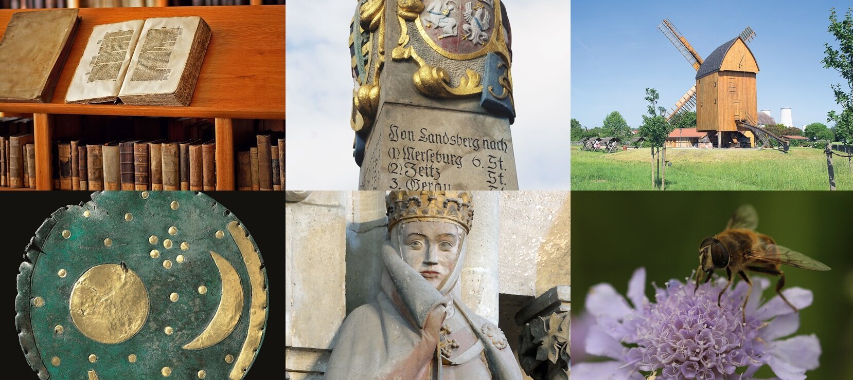 Stiftsbibliothek Zeitz, Ausschnitt der sächsischen Postmeilensäule von Landsberg, Windmühle Spergau, im Hintergrund Kühltürme Leuna, Himmelsscheibe von Nebra, Uta von Ballenstedt, Naumburger Dom, Skabiose mit Wildbiene