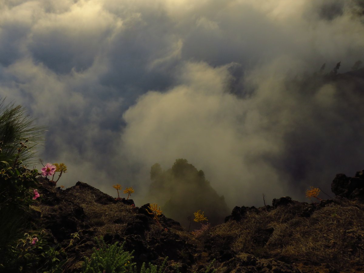 Wolkenmeer auf La Palma wolkenverhangener Himmel