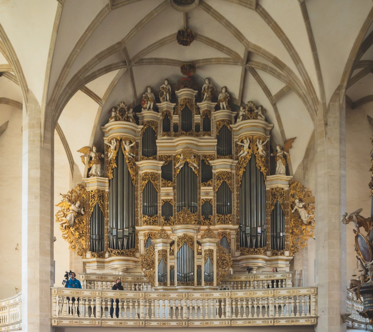 Einzug des Senats im Merseburger Dom zur Feierlichen Immatrikulation.