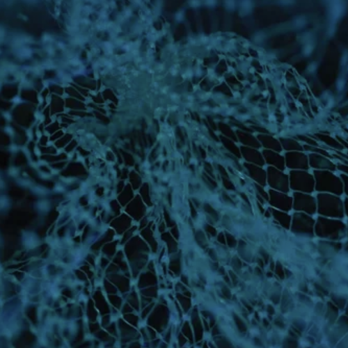 Link zum Projekt ExWoSt-Pilotphase