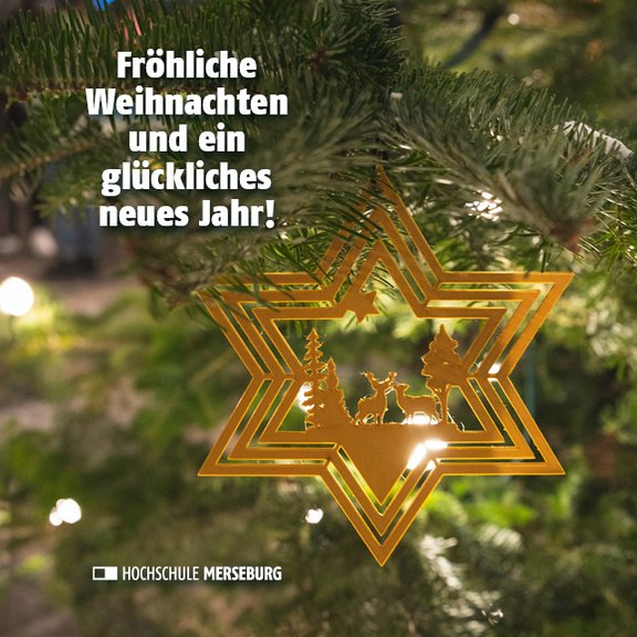 Fotomotiv: Stern am Tannenbaum