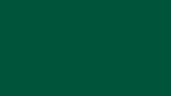 Akzentfarbe: WIW-Grün