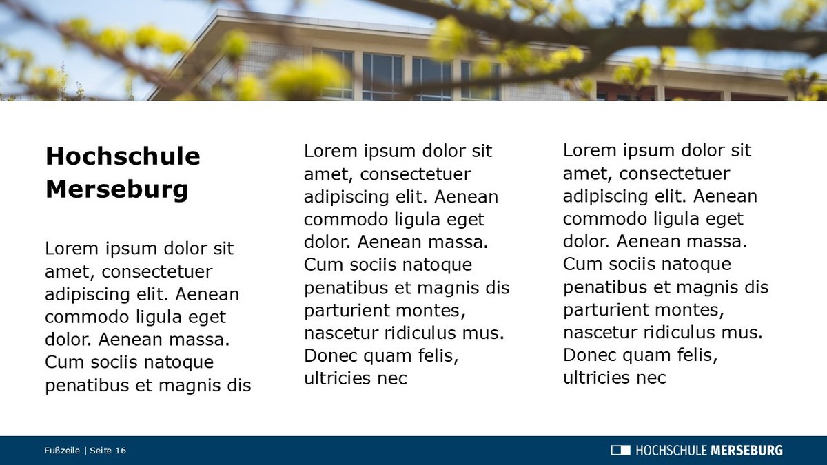 Beispielfolie der Präsentation