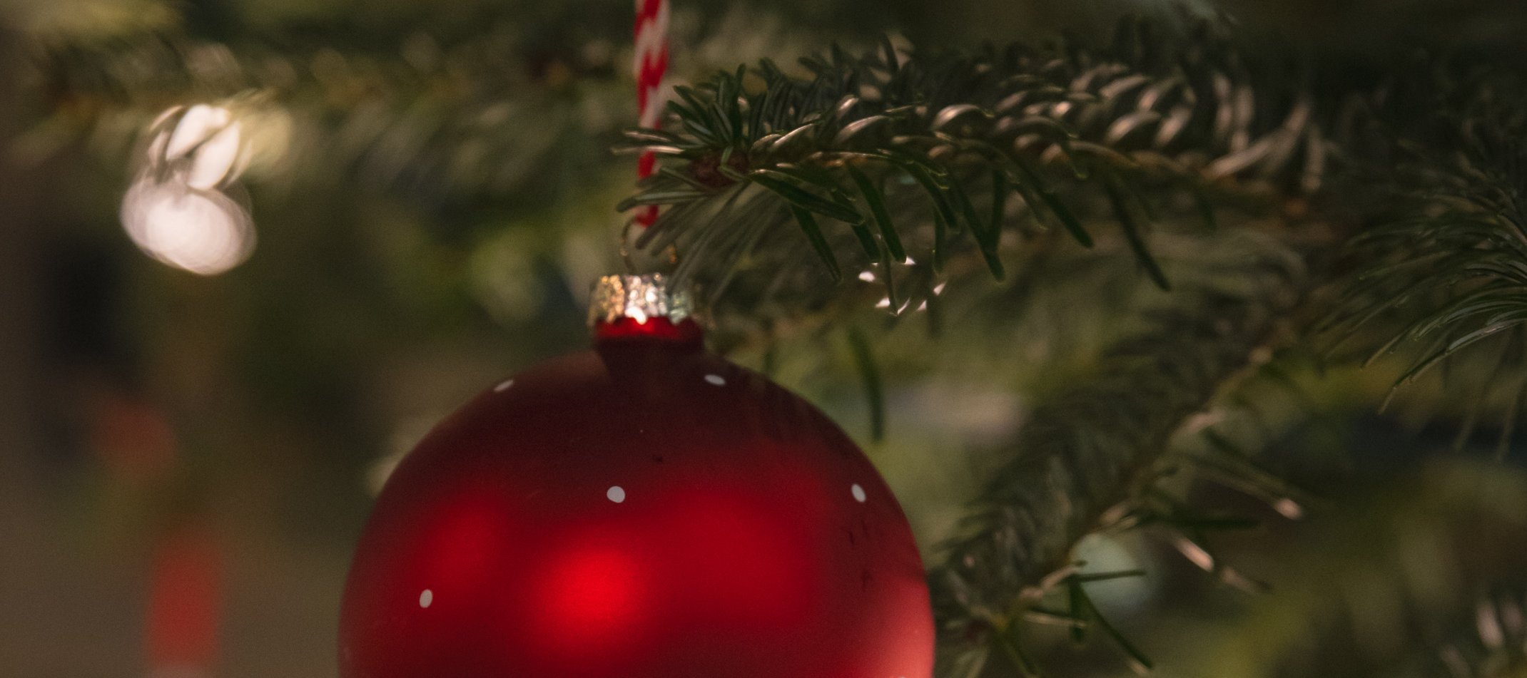 Campusweihnacht rote Kugel vor Weihnachtsbaum