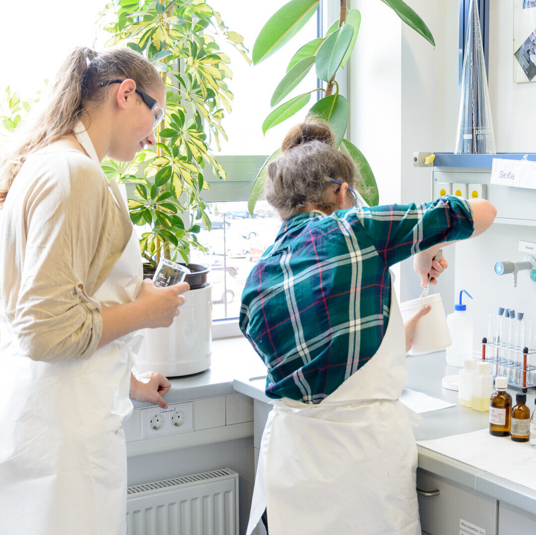MINT-Interessenförderung Kopfbild MINT-Interessenförderung Kopfbild